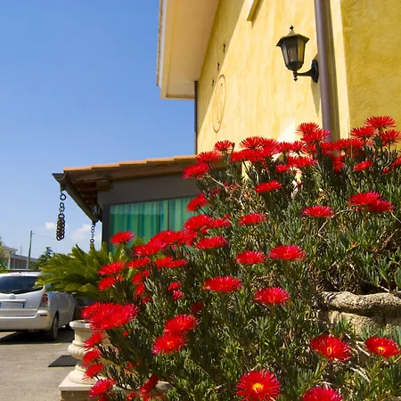 Hotel California 3*